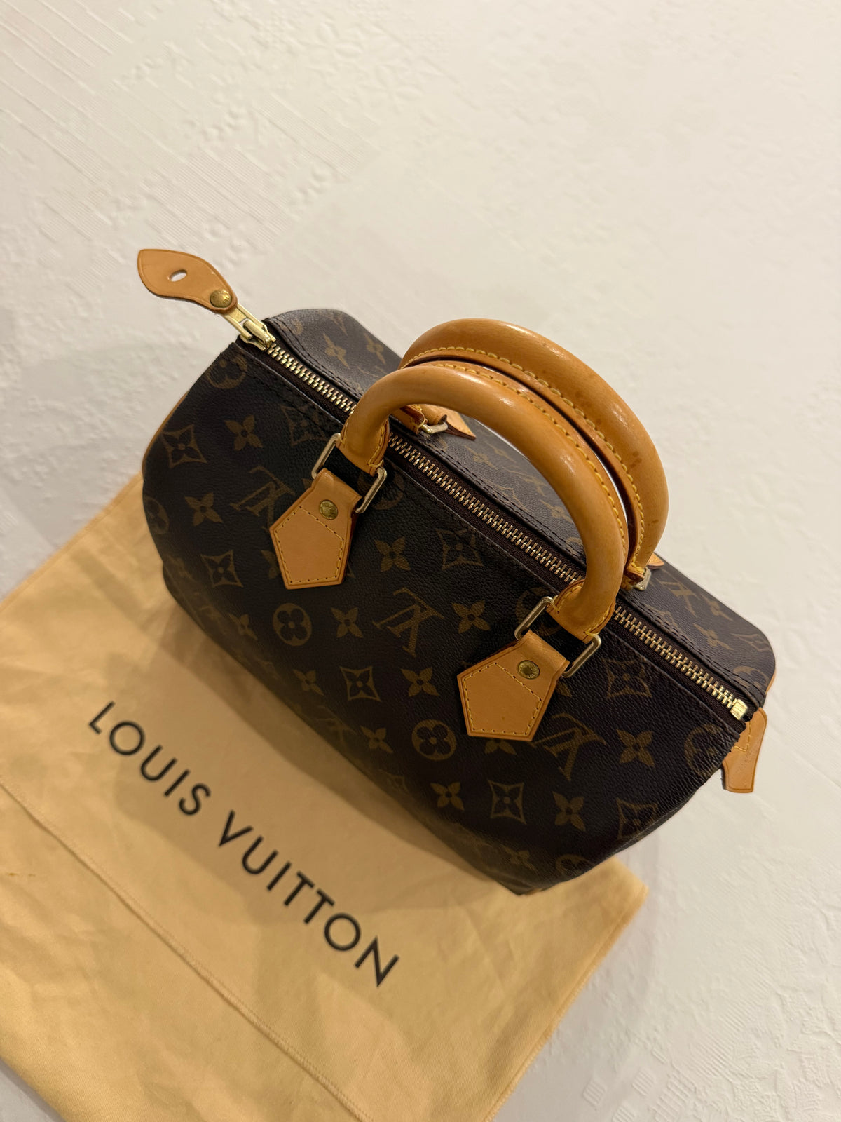 Louis Vuitton Speedy 25 – Borsa in tela Monogram